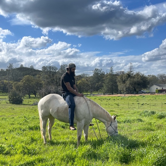 Meet your Posher, Bradley - Picture 2 of 5